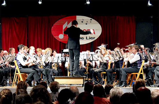 De harmonie tijdens het voorjaarsconcert 2014